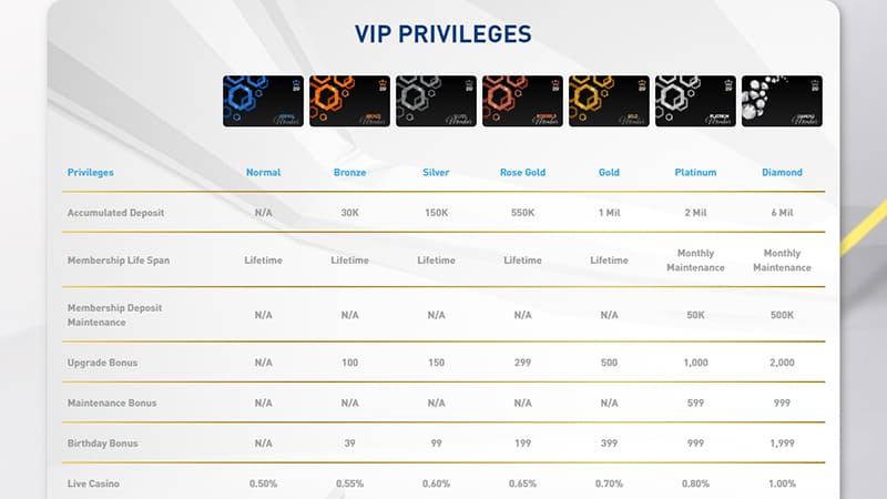B9 VIP Privileges